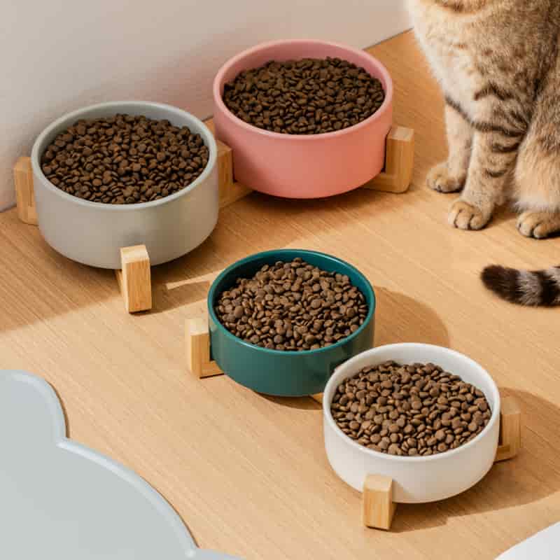 gamelle céramique double pour animaux