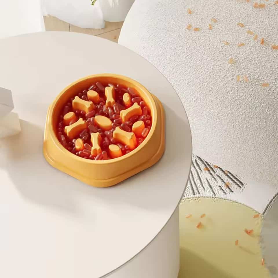 gamelle anti glouton os pour chien et chat