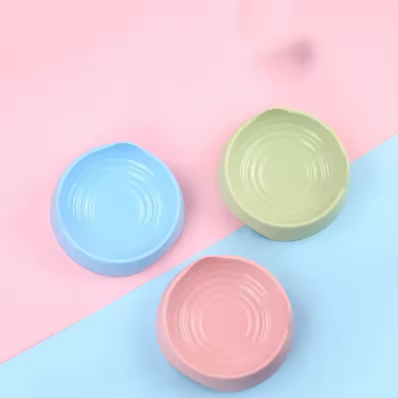 gamelle plastique oreille de chat pour chien et chat