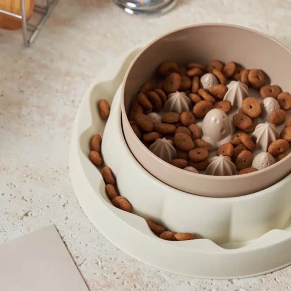 gamelle anti-glouton chien pour chien et chat