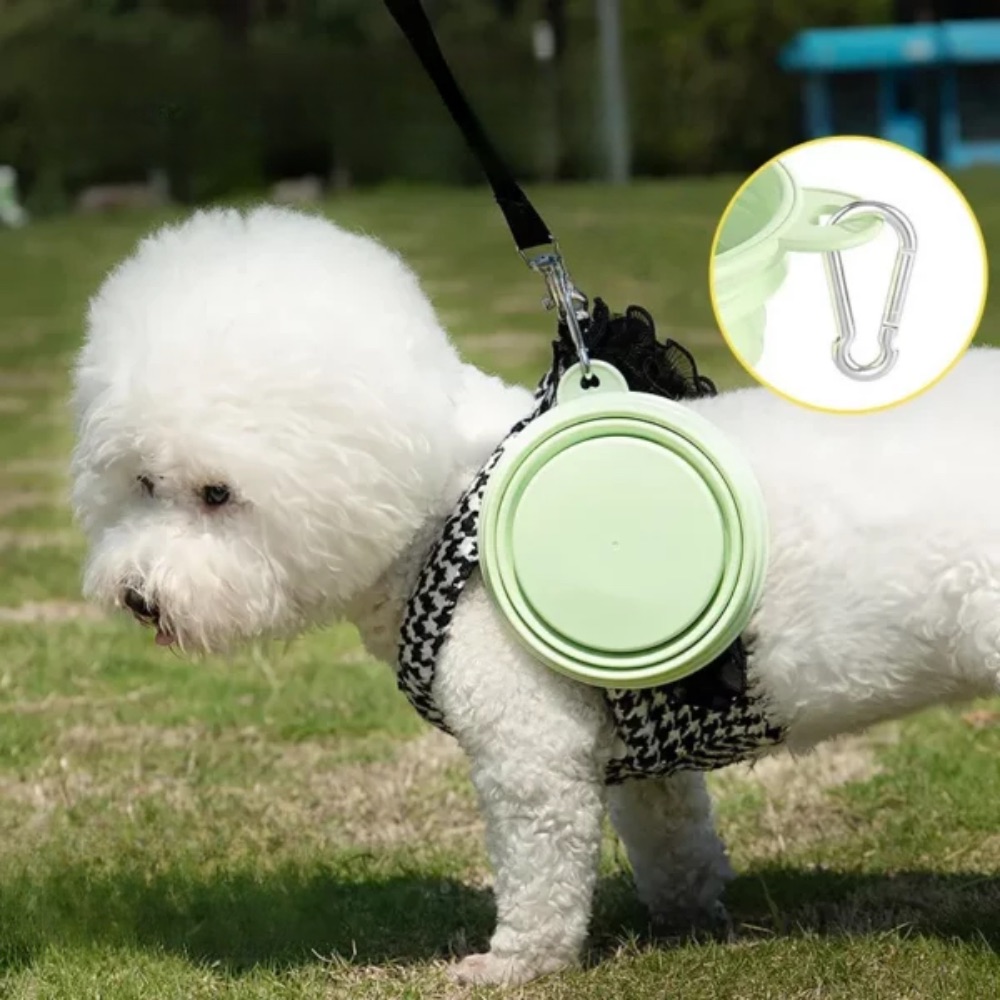Gamelle pliable pour chien, idéale pour les voyages