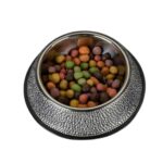 Gamelle pour animaux en inox avec strass avec croquettes