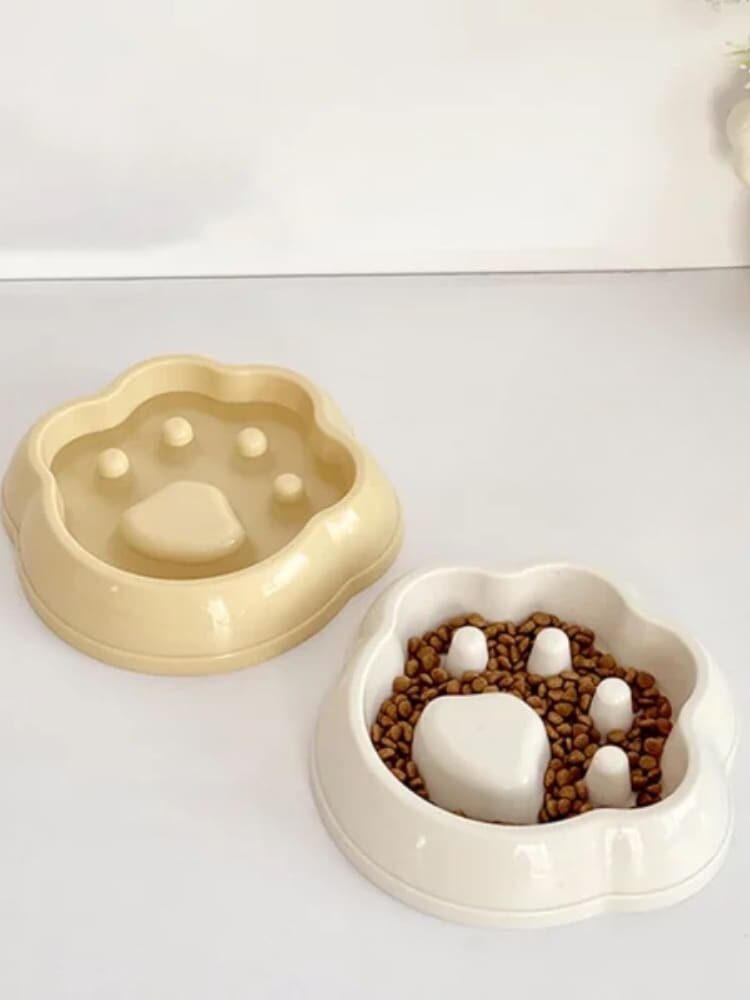 Gamelle anti glouton patte avec croquettes