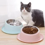 Gamelle inox inclinée animaux croquettes