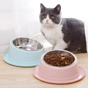 Gamelle inox inclinée animaux croquettes