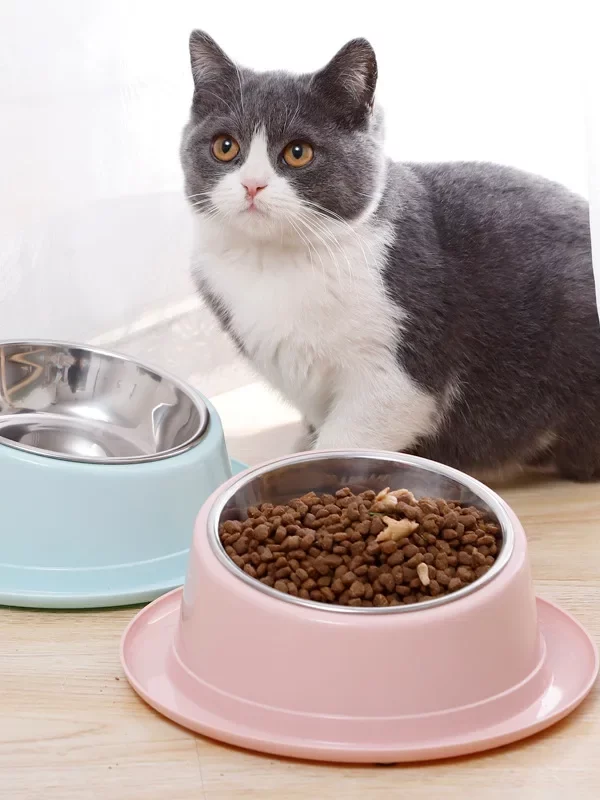 Gamelle inox inclinée pour chat avec croquettes