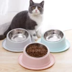 Gamelle inox inclinée pour chat avec croquettes