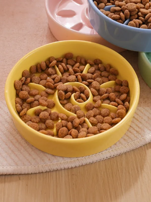 Gamelle anti glouton pour chiens et chats