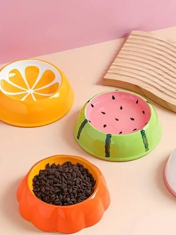 Gamelle pour animaux en céramique avec croquettes