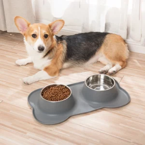 gamelle double antidérapante pour chien et croquette