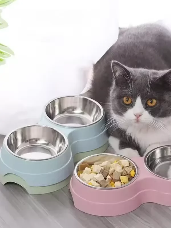 Gamelle Chien Double avec chat et croquettes