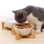 gamelle céramique animaux pour chien et chat