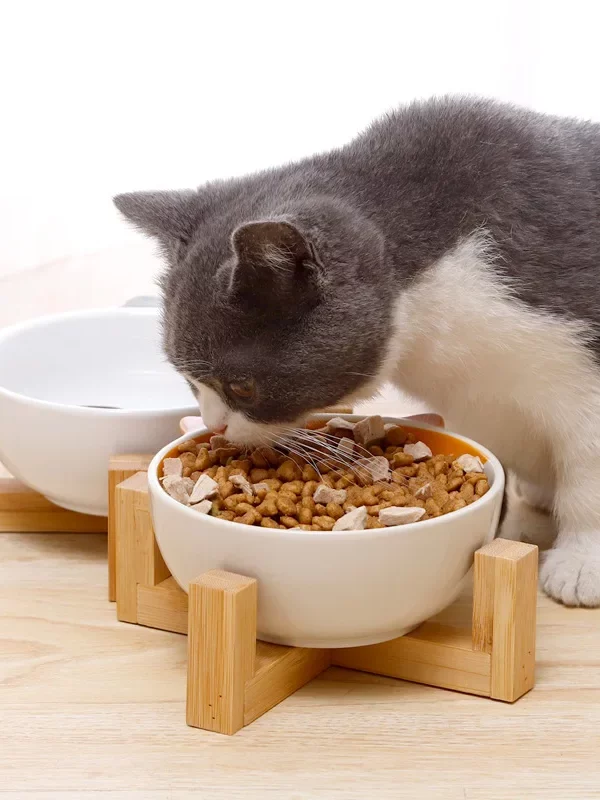 gamelle céramique animaux pour chien et chat