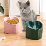 Gamelle inclinée cœur avec chat et croquettes