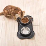gamelle double antidérapante pour chat et chaton