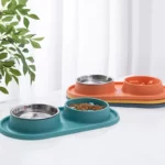 Gamelle anti glouton double pour chiens et chats