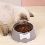 gamelle chat design pour chaton et croquettes