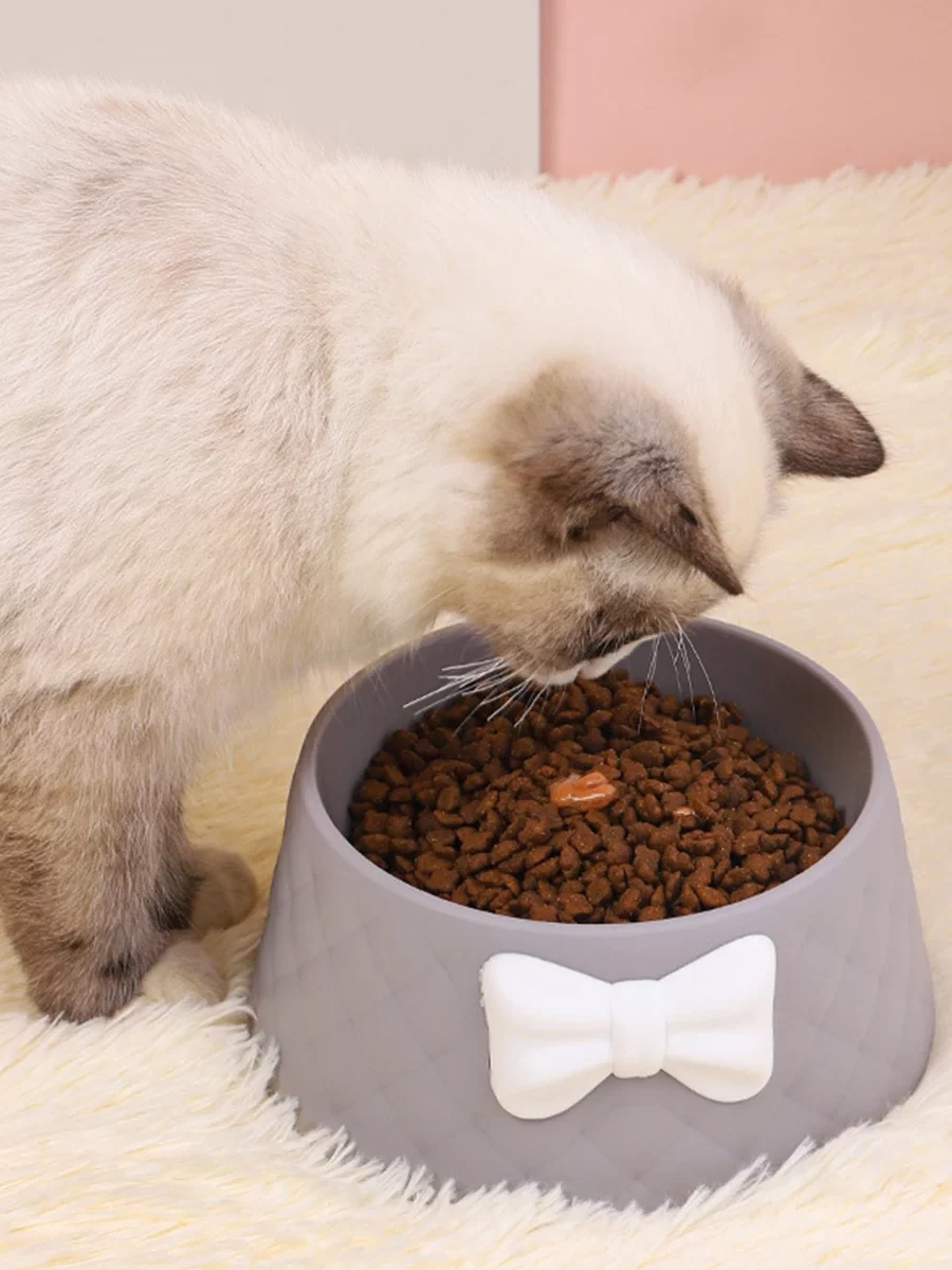 gamelle chat design pour chaton et croquette