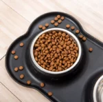 Gamelle pour chats et chiens, stable et fonctionnelle