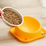 Gamelle en acier inoxydable, design ergonomique pour chiens