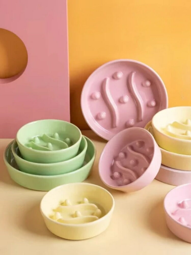 Gamelle anti glouton pastel pour chiens et chats