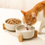 gamelle céramique double avec chat croquette et eau