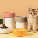 gamelle céramique design pour chat et chien