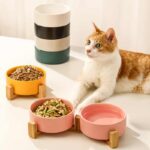 gamelle céramique double animal