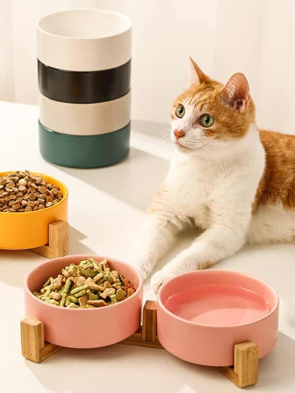 Gamelle céramique double pour chien et chat