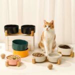 gamelle céramique double pour chiens et chats