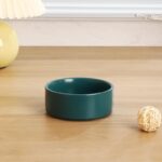 gamelle céramique design vert