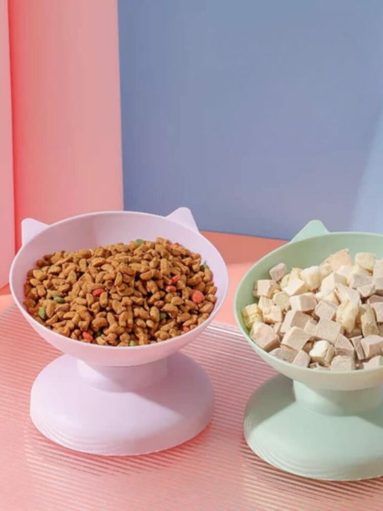 Gamelle chat surélevée pour chiens et chats