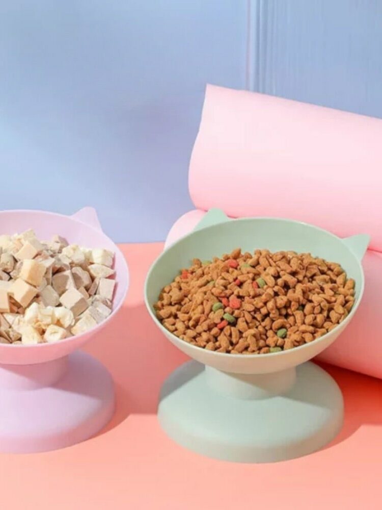 Gamelle surélevée chat pour animaux