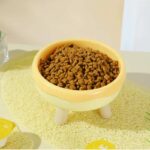 gamelle plastique surélevée pour croquettes