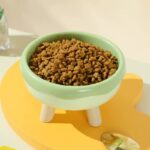 gamelle plastique surélevée pour animal