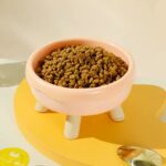 gamelle plastique surélevée pour animaux