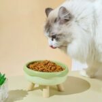 gamelle plastique surélevée pour chat