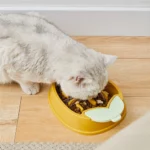 gamelle anti glouton poire pour chiens et chats