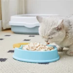 gamelle anti glouton poire avec chat et croquettes