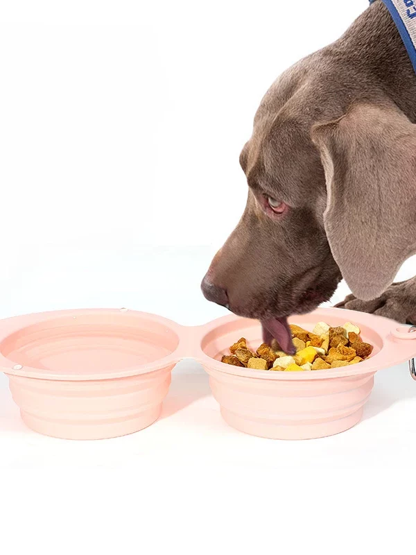gamelle double pliable pour chien et chat