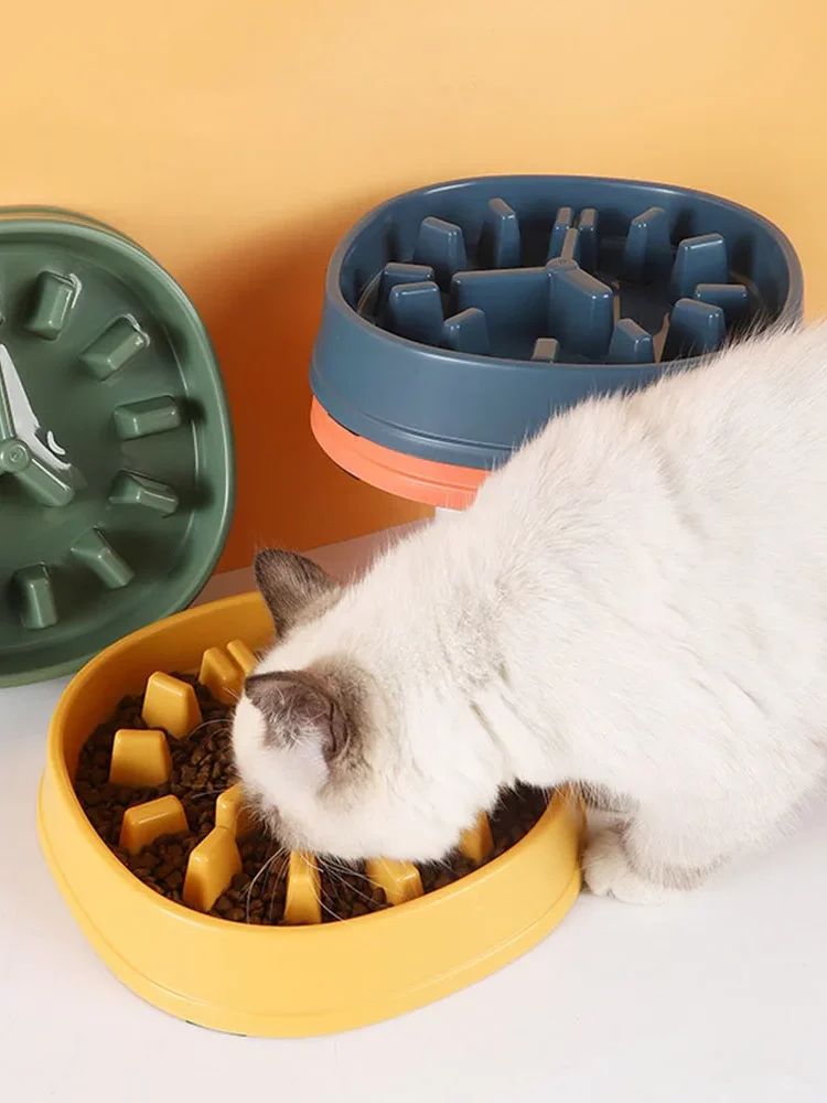 gamelle anti glouton horloge avec chat et croquettes