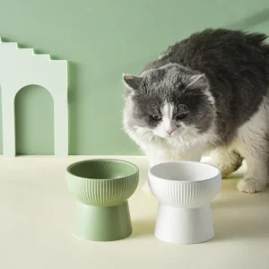 gamelle surélevée céramique pour chien et chat