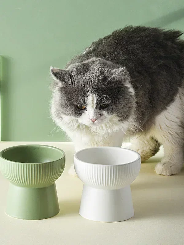 gamelle surélevée céramique pour chien et chat