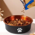 Gamelle inox métallisé pour chiens et chats