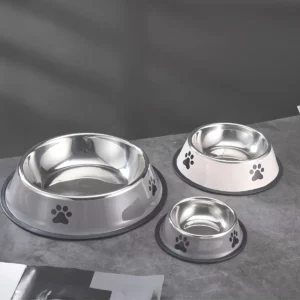 Gamelle Inox Antidérapante pour chien, idéale pour un repas sans éclaboussures