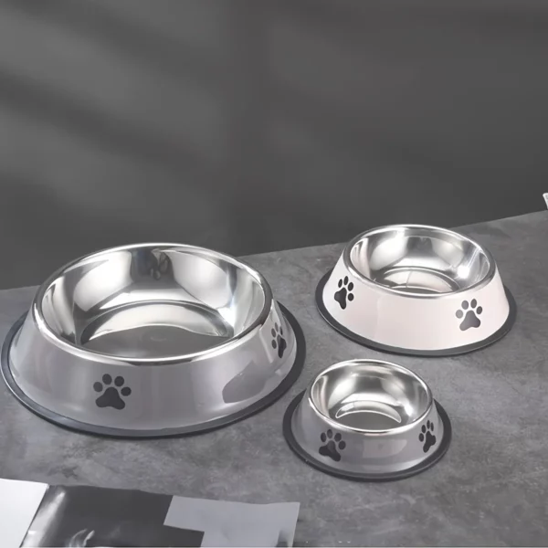 Gamelle Inox Antidérapante pour chien, idéale pour un repas sans éclaboussures
