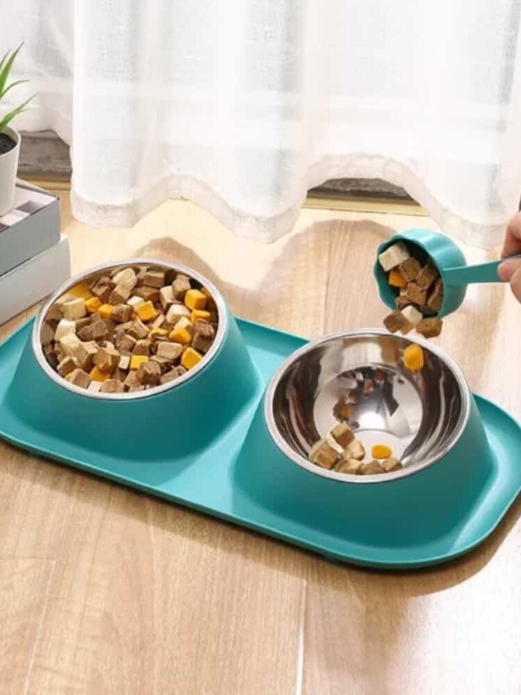 gamelle double inclinée pour chiens et chats