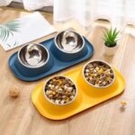 gamelle double inclinée pour chien et chat
