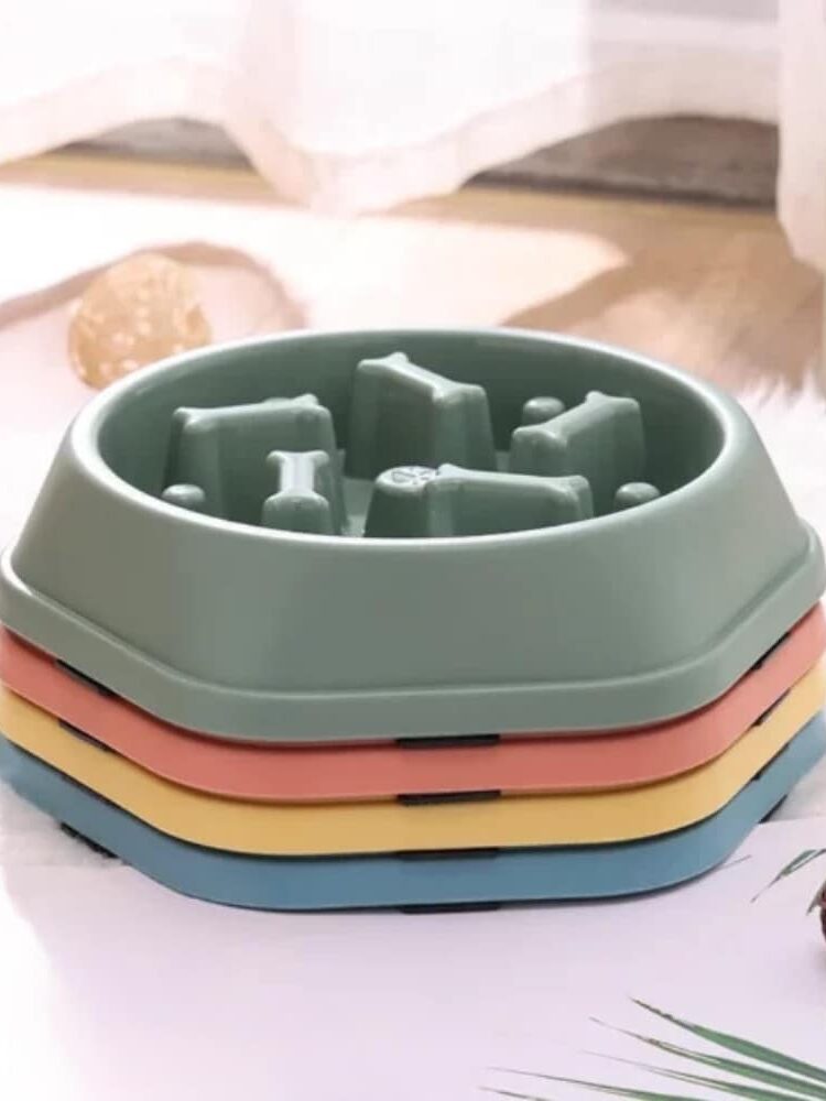 gamelle anti glouton os pour animaux
