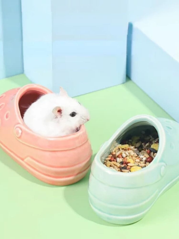 gamelle céramique sabot pour rongeur